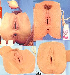 Chasey Lane realistic vaginas