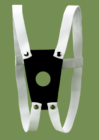 Leather Harness with Strap copyright © Convergence Inc. Used by permission.