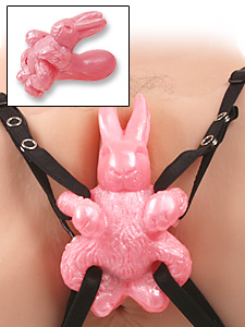 picture of the Bunny Rabbit Pink copyright © Discreet Online Shopping. Used by permission.